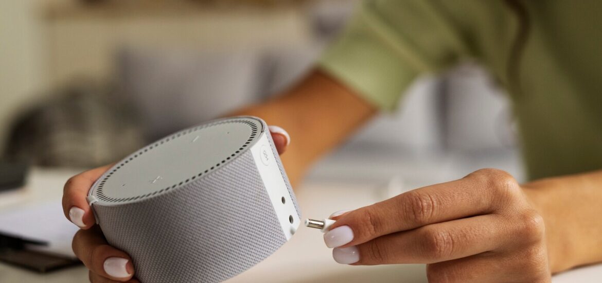 Peut-on utiliser un assistant vocal sans connexion Internet ?